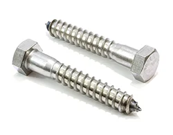 304 SS Hex Lag Screws 304 SS Hex Lag Screws